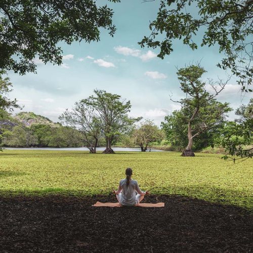 The Ayurvedic Experience